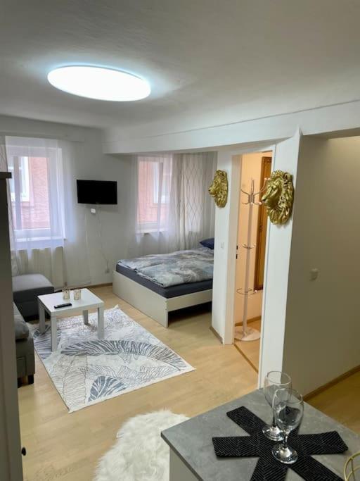 Milena Apartment 格拉茨 外观 照片