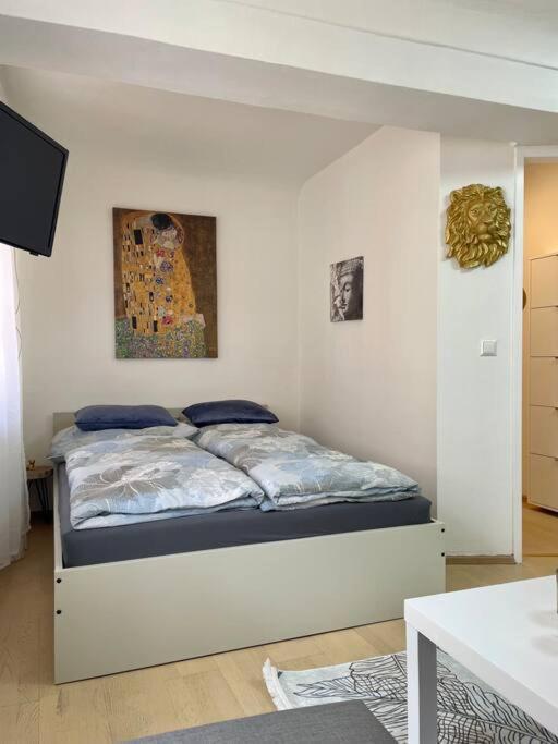 Milena Apartment 格拉茨 外观 照片