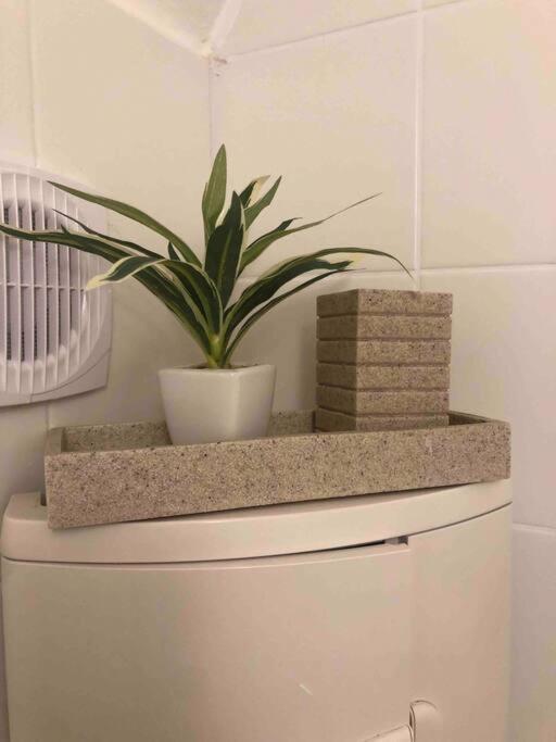 Milena Apartment 格拉茨 外观 照片