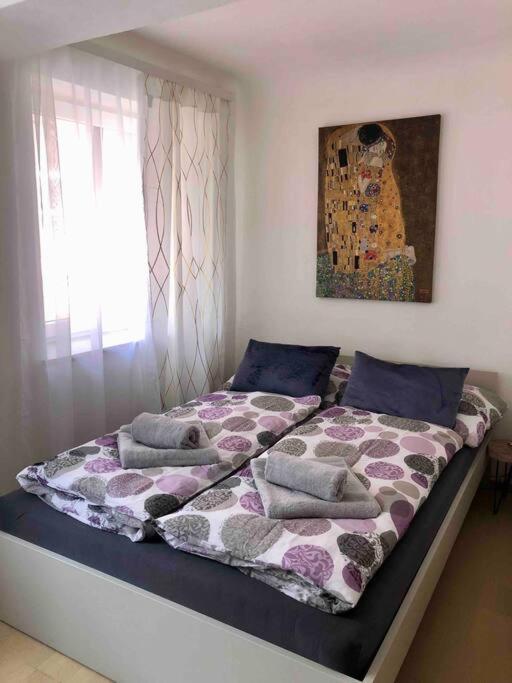 Milena Apartment 格拉茨 外观 照片